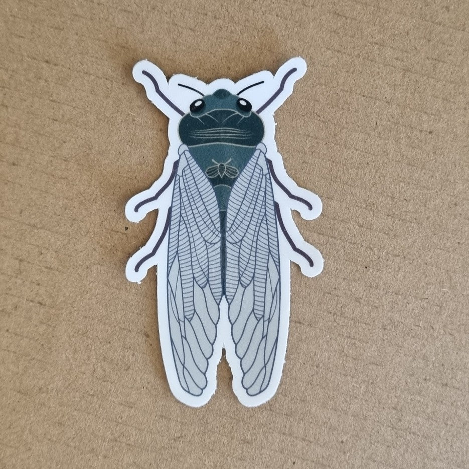 4 Different Cicada Bug Insect Stickers