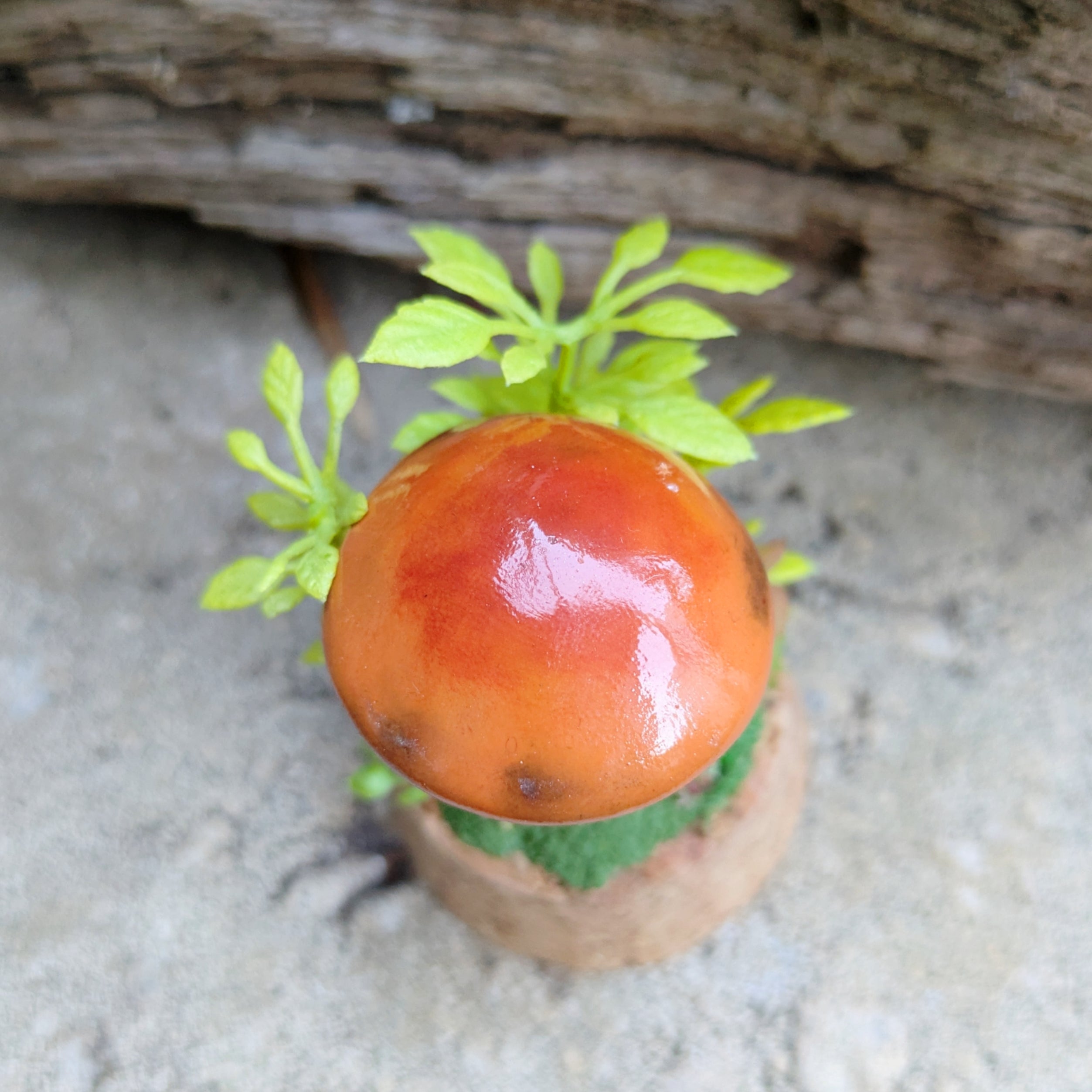 Woodland Mushroom Dome