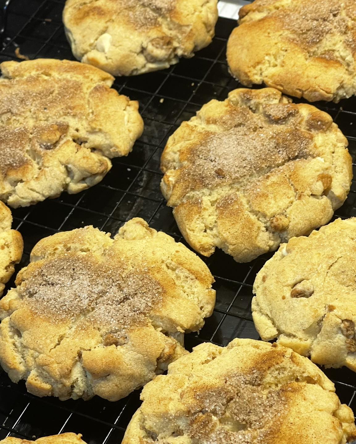 Classic Big Bickies 6 Pack