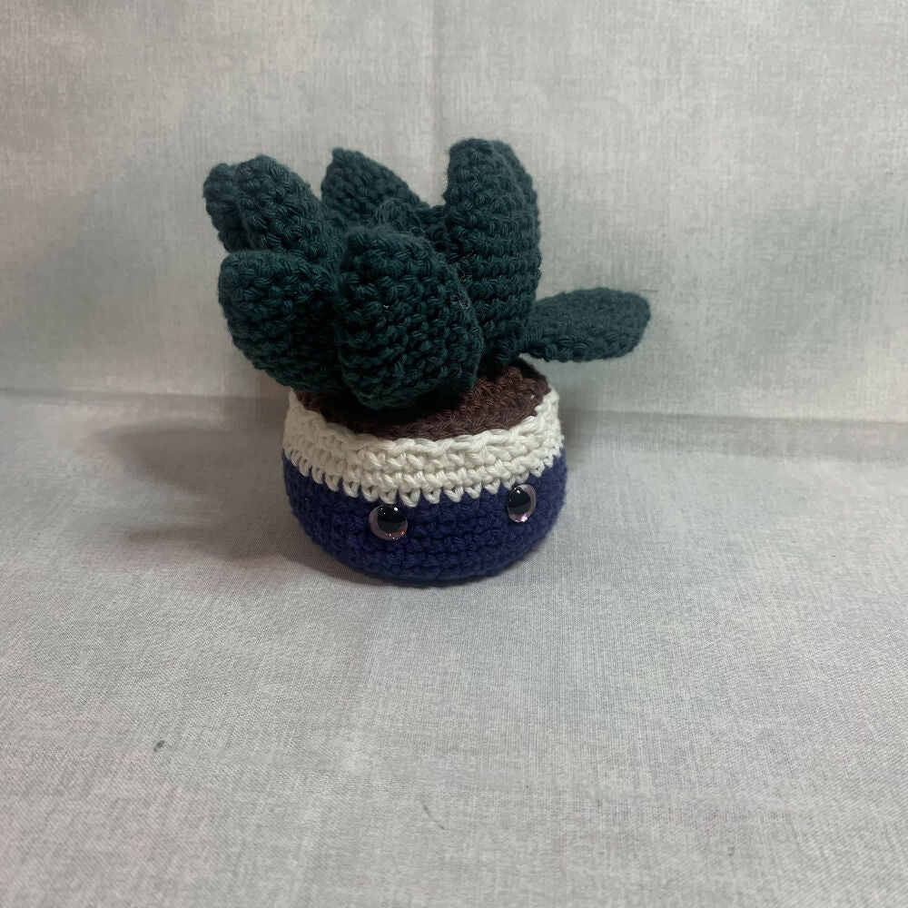 Crochet succulent plant