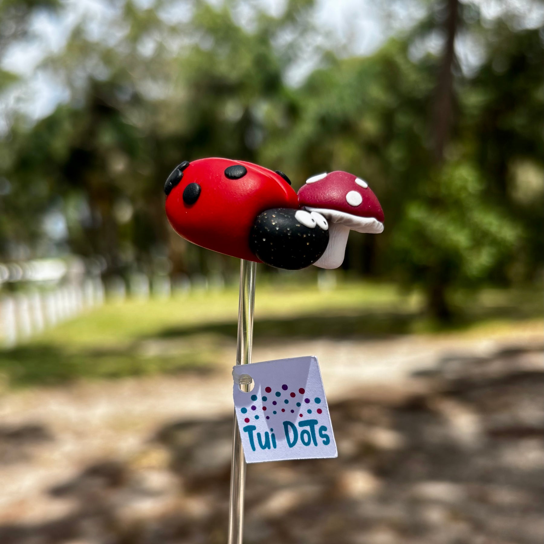Plant Pals - Dottie Sprout - Lady bug