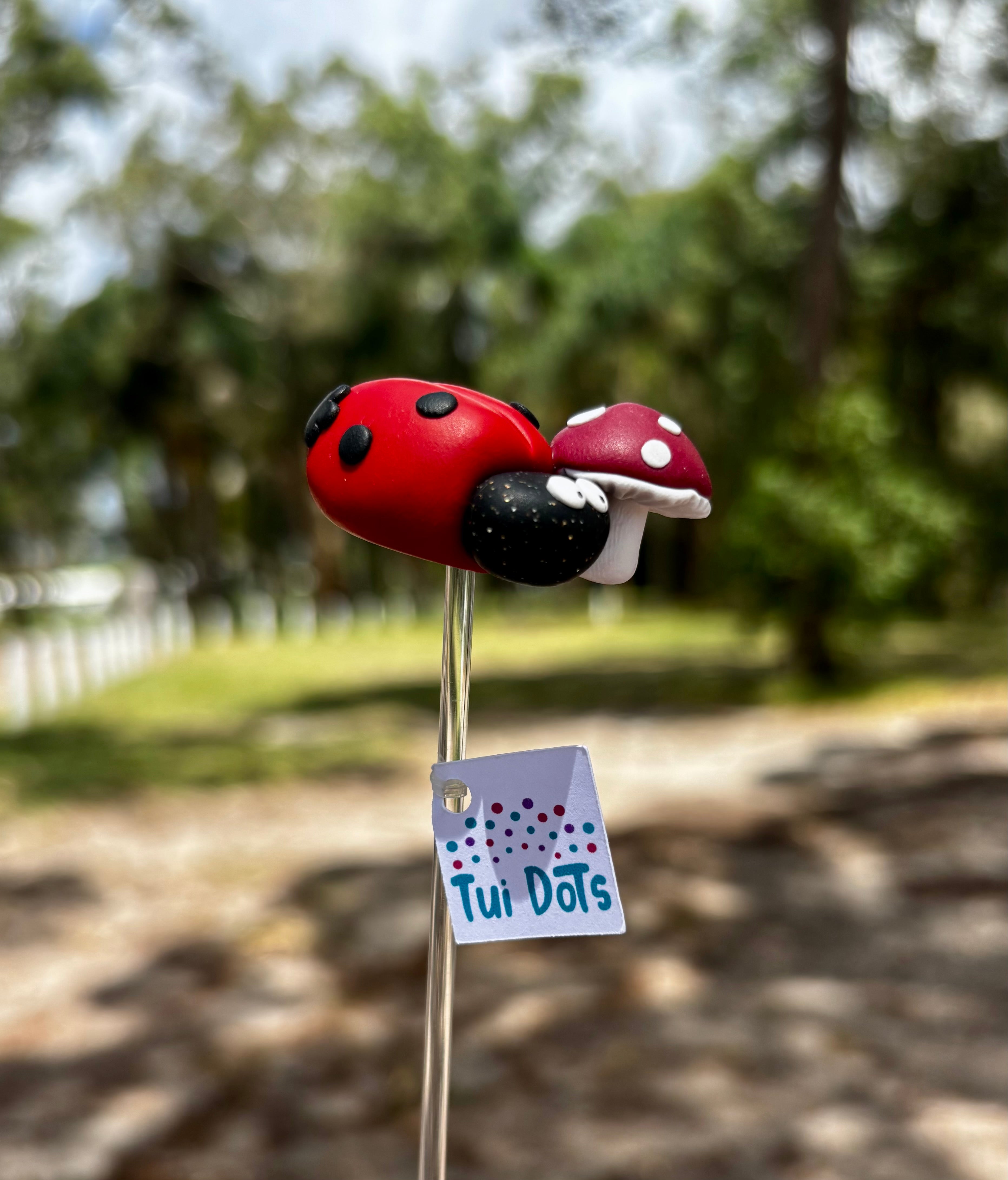 Plant Pals - Dottie Sprout - Lady bug