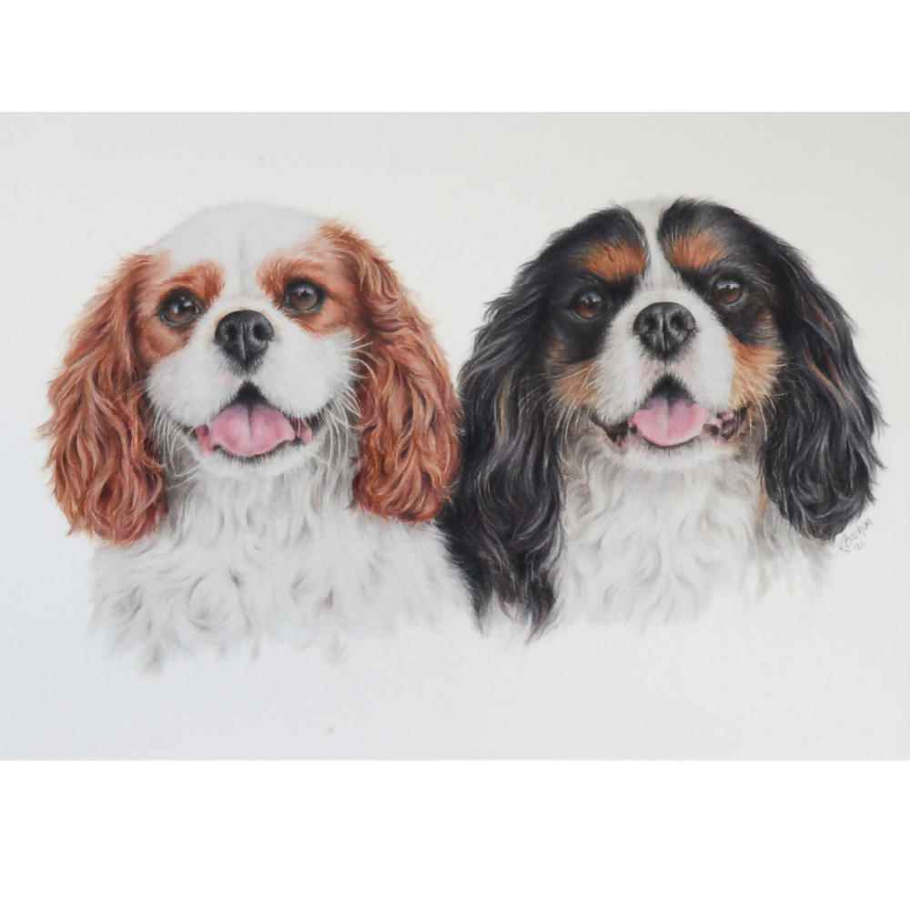 Australian-artist-custom-pet-portrait-dog-cavalier-king-charles-spaniel