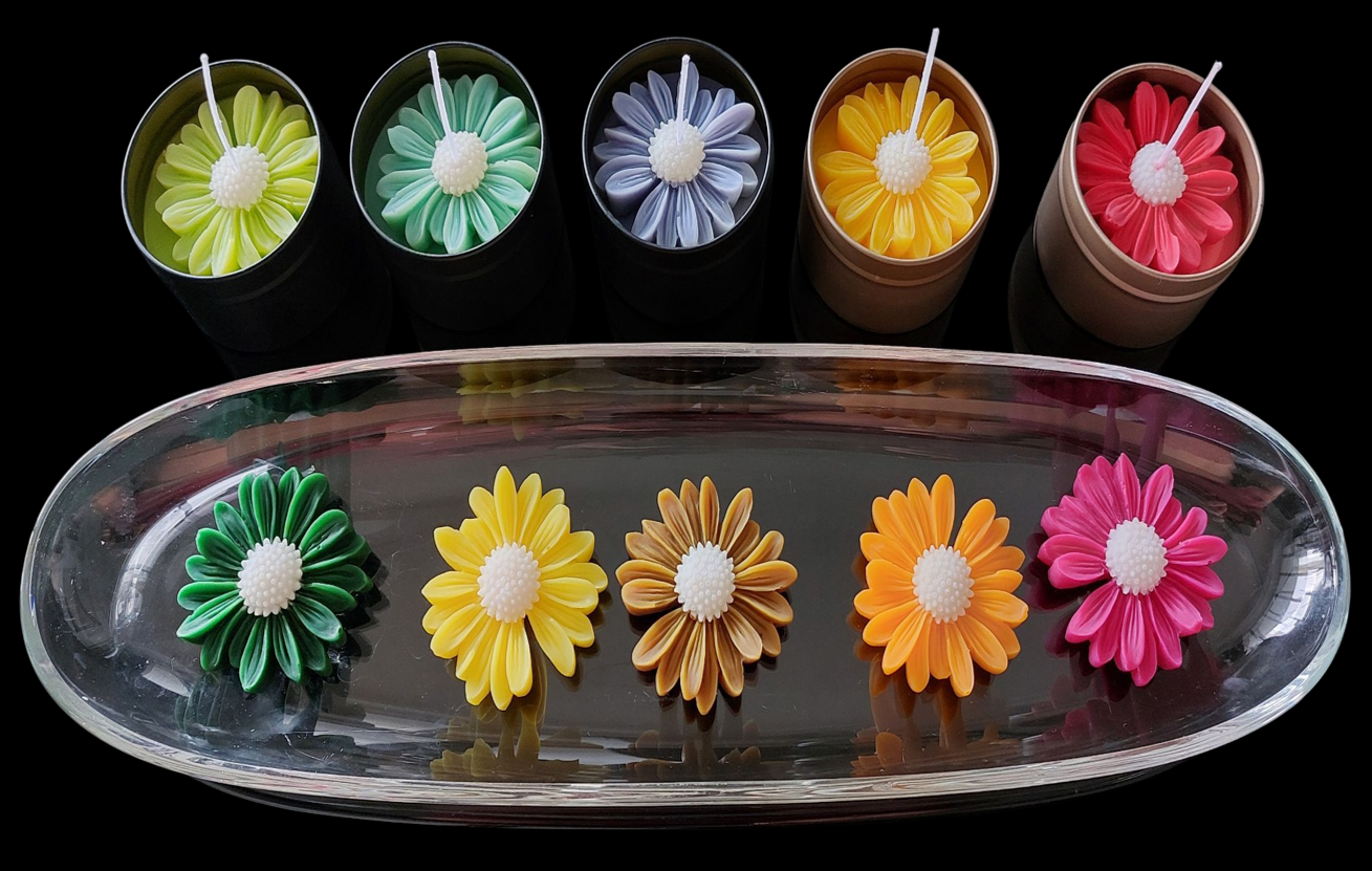 Scented Soy Candles - Daisy Glow Collection