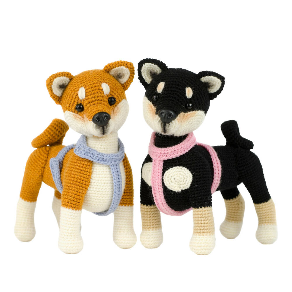 PhotoRoom_20230810_065659