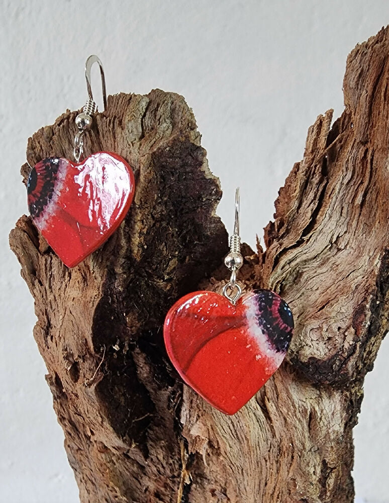 Red poppy hearts