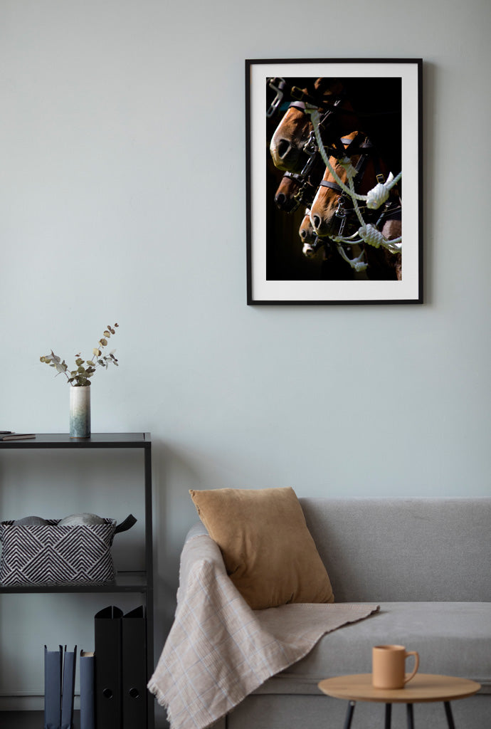 "Australian Light Horse" Photographic Print | Wall Art