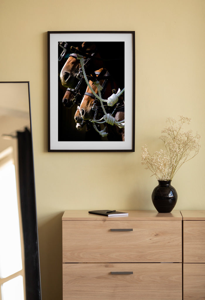 "Australian Light Horse" Photographic Print | Wall Art