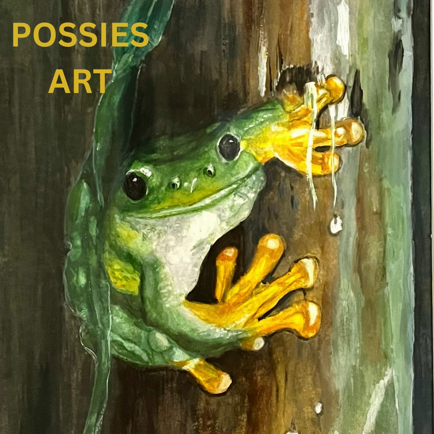Green frog in a rainforest