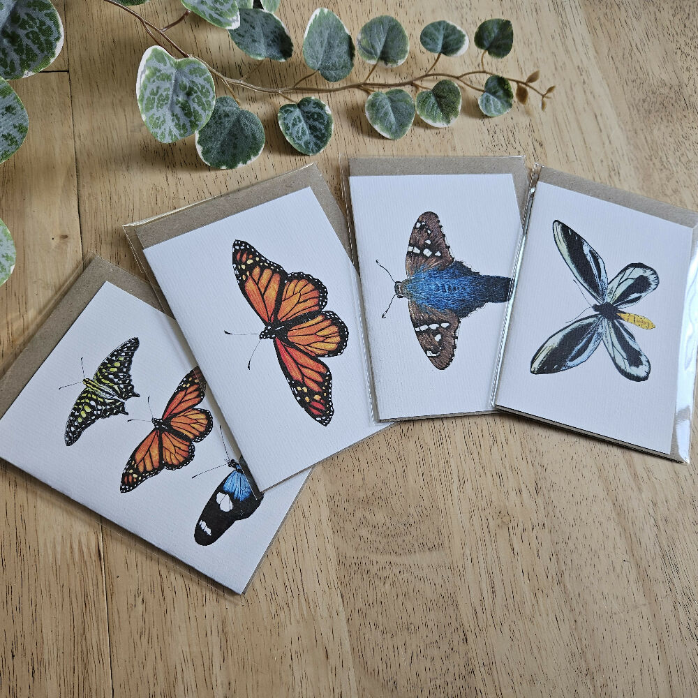 Watercolour Greeting Cards - Butterflies - Set of 4