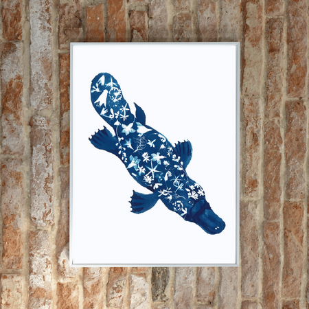 Platypus ~ Australian Animal Art ~ Cyanotype Print ~ Eco-friendly ~ 100% Recycled Nature You Can See