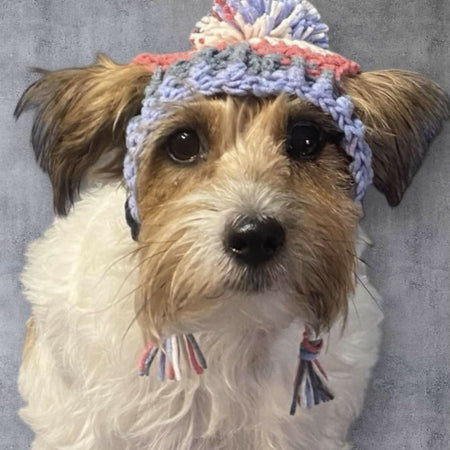 Dog Beanie/hat for Puppy. Handmade Pet clothing/costume