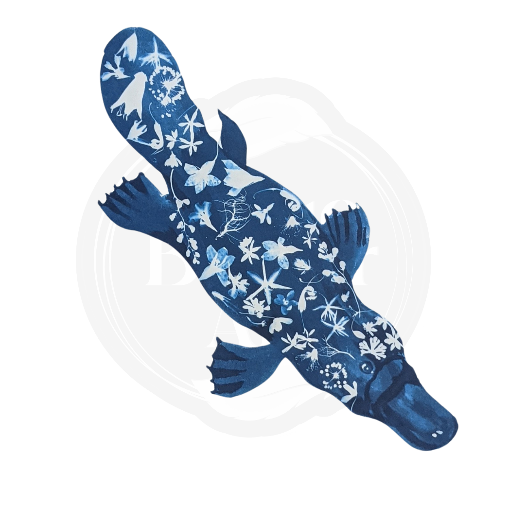 Platypus Art Print from Native Flowers