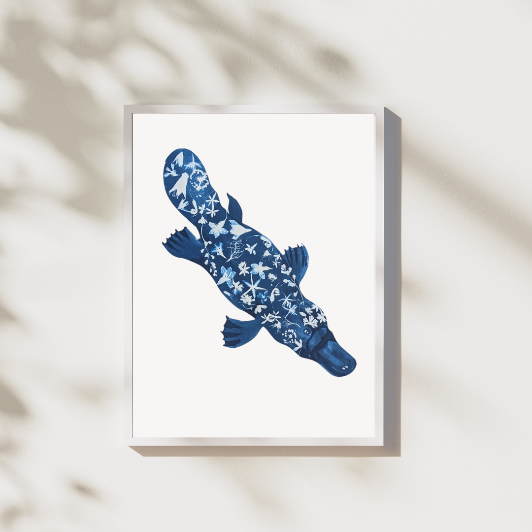 Platypus Art Print from Native Flowers