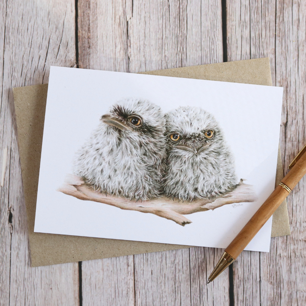 Tawny Frogmouth Chicks | Blank Greeting Card | Australian Wildlife | Recycled