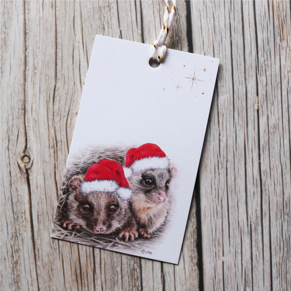 Christmas Gift Tags 8pk | Australian Wildlife | Eco-friendly