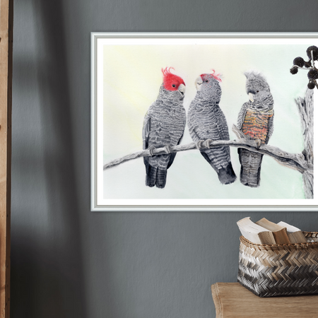 Australian Gang Gang Cockatoo Fine Art Print - titled 'Nurture'