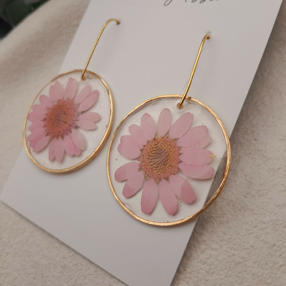 Real daisy flower resin earrings - pink,gold, hypoallergenic