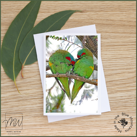 Blank Greeting Card - Musk Lorikeets Heart Photo - Valentines Day