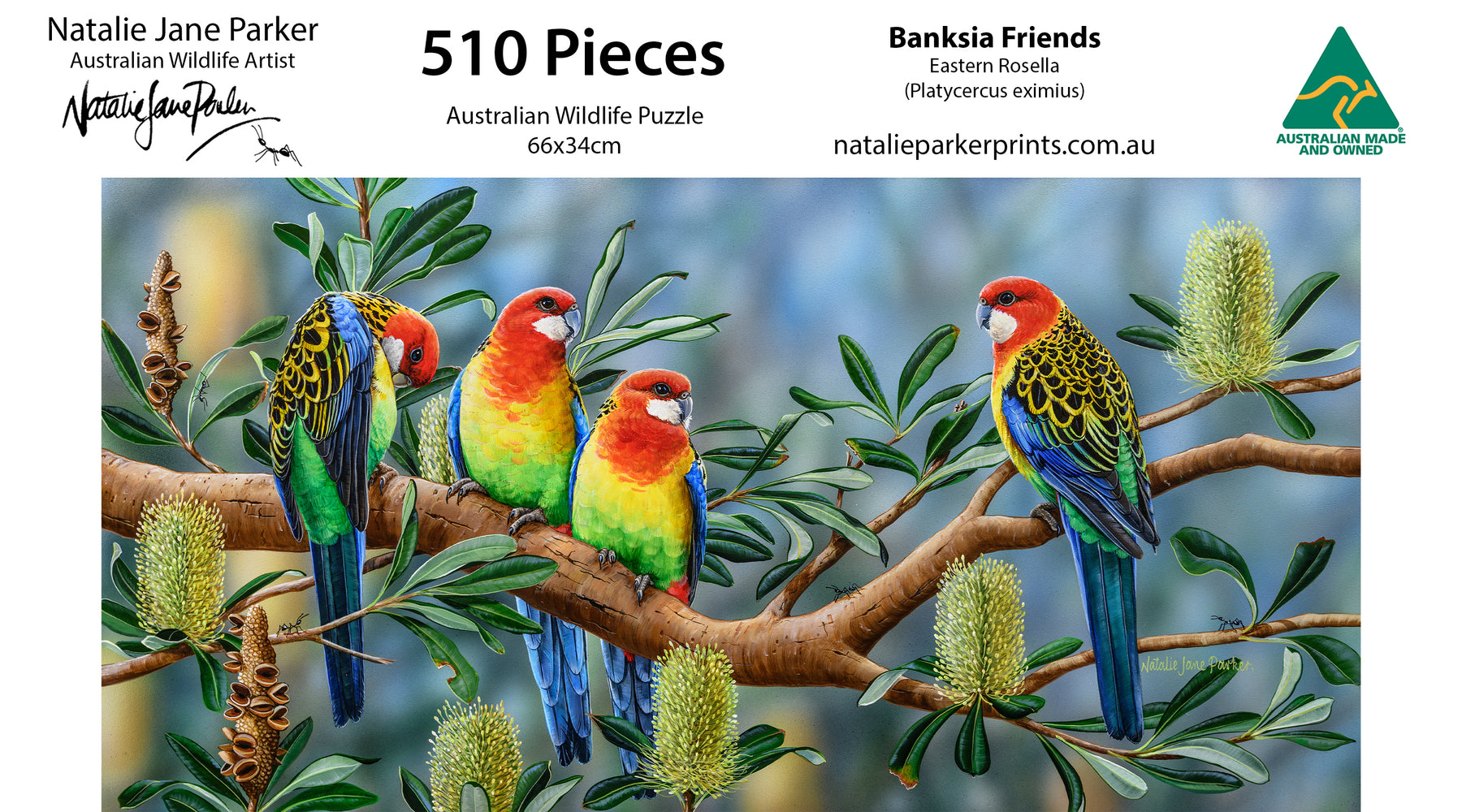 Banksia Friends – Eastern Rosellas | 510-Piece Panorama Jigsaw Puzzle