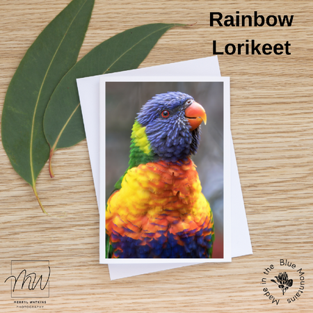 Blank Greeting Card - Rainbow Lorikeet Photo