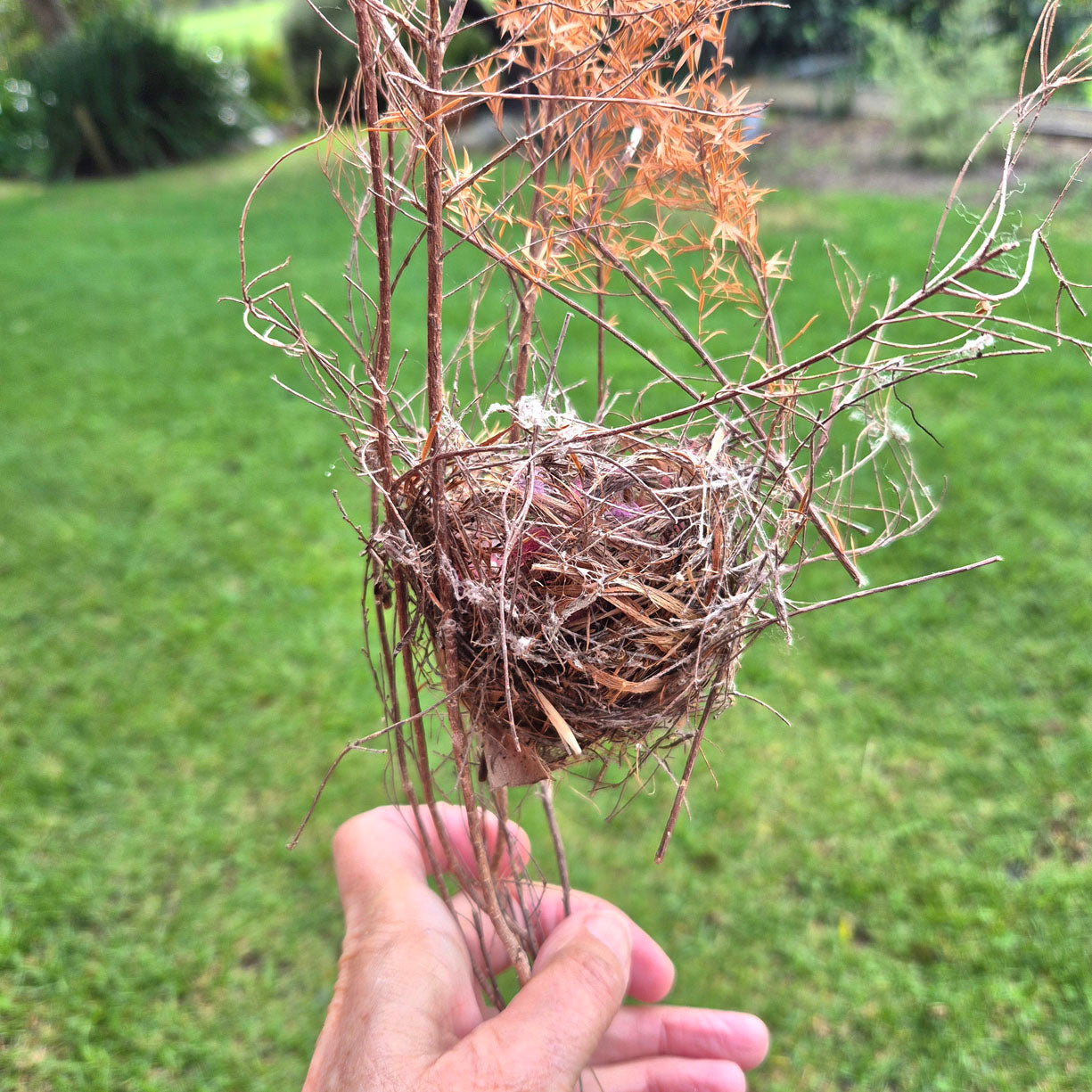 Birds Nest Material Holder - Ceramic Garden Ornament