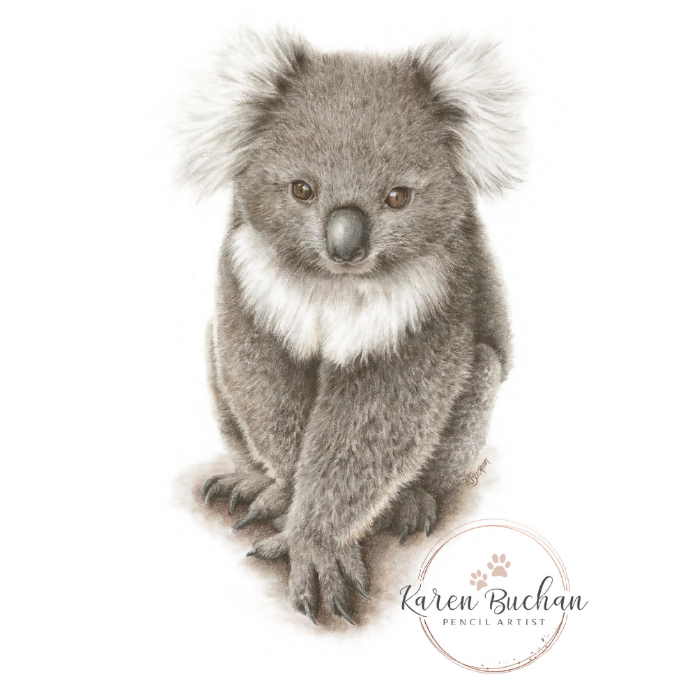 Australian-artist-illustration-wall-art-koala