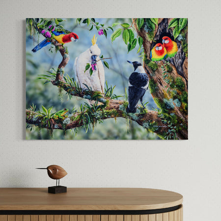 Australian Magpie, Sulphur-crested Cockatoo, Eastern Rosellas & Red-eyed Tree Frog - Titled 