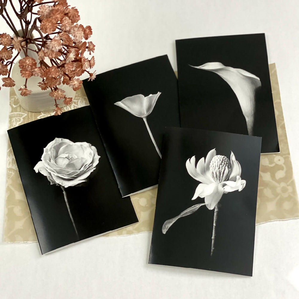 4 pack black and white greeting cards