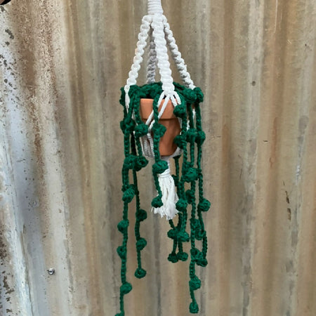 Lush Crochet String of Pearls Plant in Macrame Hanger Beautiful Artificial Hanging Decor