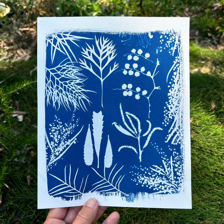 Native Flora Art Print, Original Cyanotype, 8x10 inches, Botanical Print