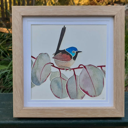 Fairy-Wren in Eucalypt - original watercolour