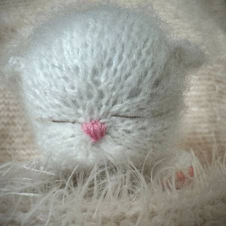 White Sleeping Kitten