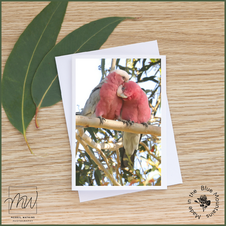 Blank Greeting Card - Galahs - A Love Story - Photo