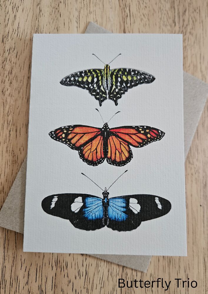 Watercolour Greeting Cards - The Fauna Series - Butterflies