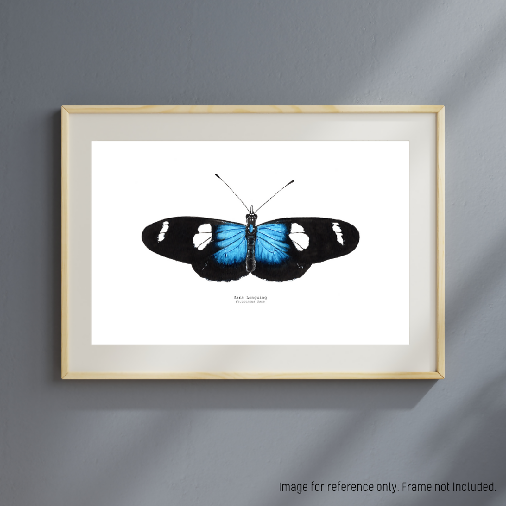 the fauna series - sara longwing butterfly