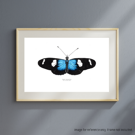 Watercolour Art Print - The Fauna Series - 'Sara Longwing Butterfly'