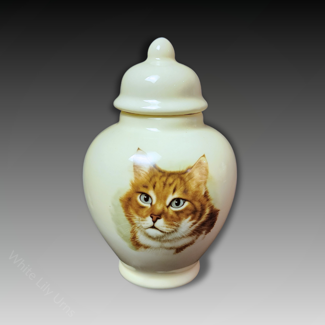 Pottery Ash Urns for Cats