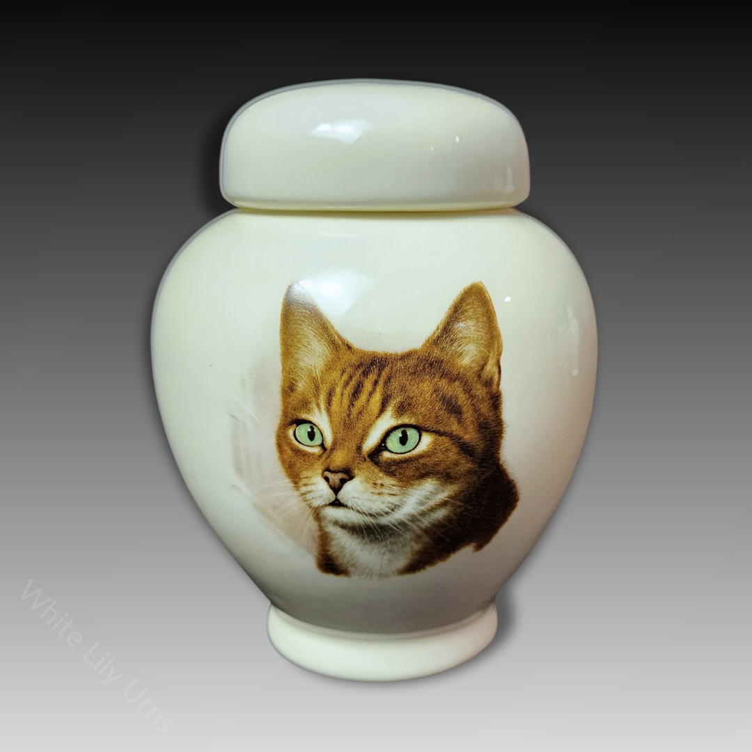 Pottery Ash Urns for Cats