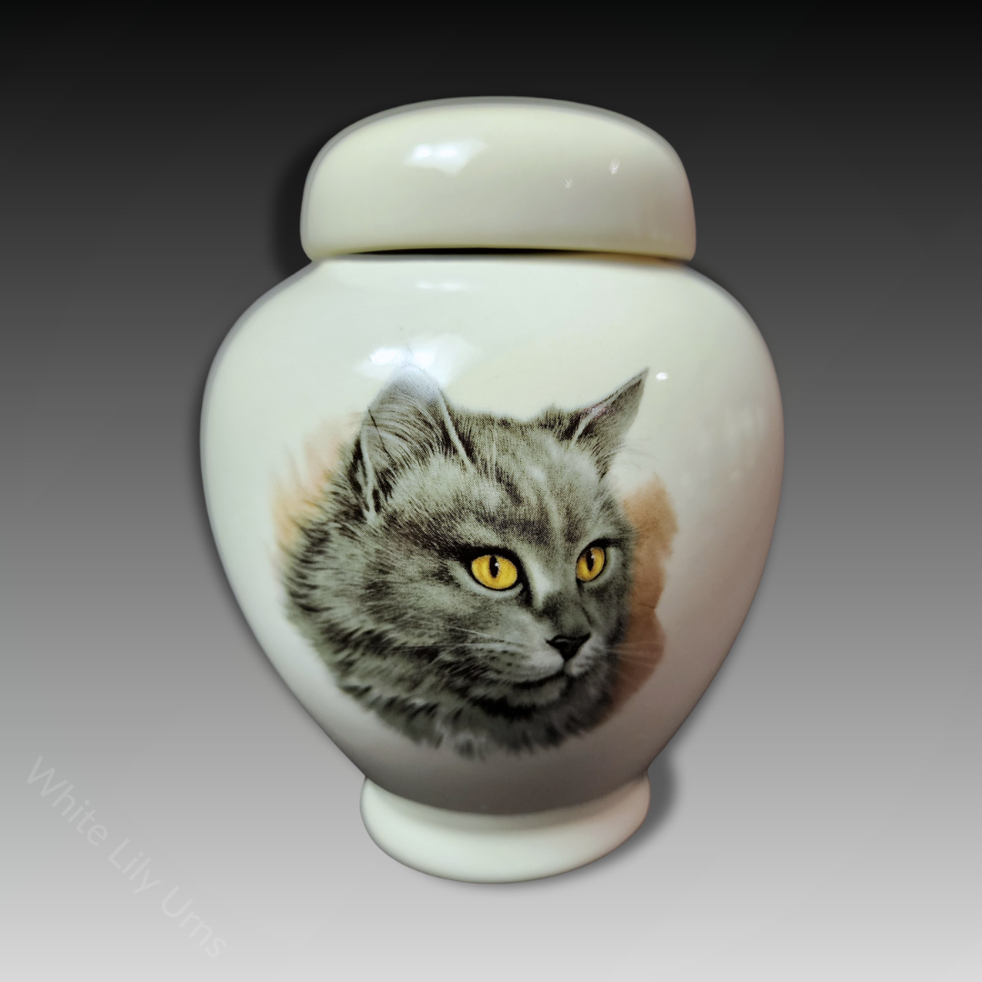 Pottery Ash Urns for Cats