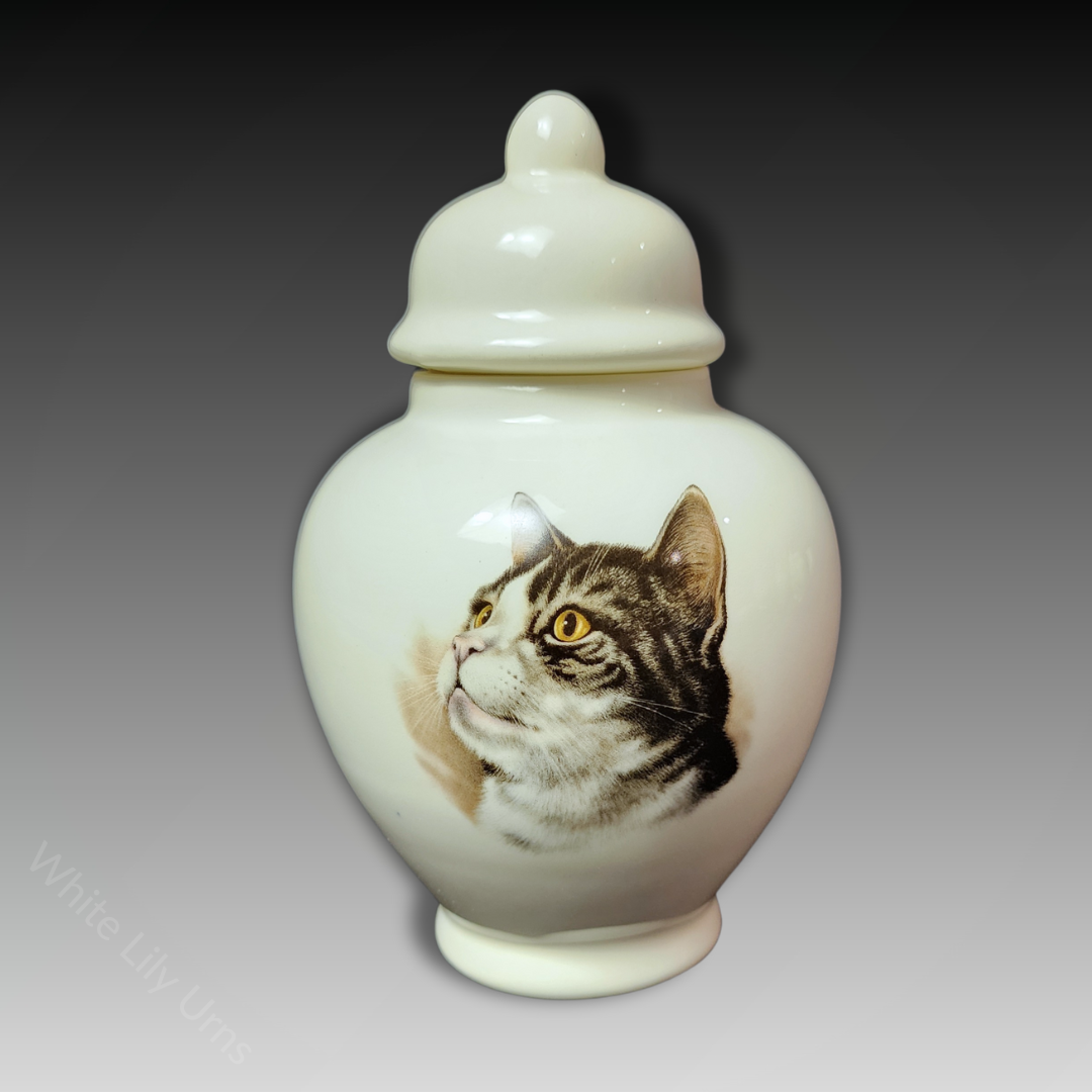 Pottery Ash Urns for Cats