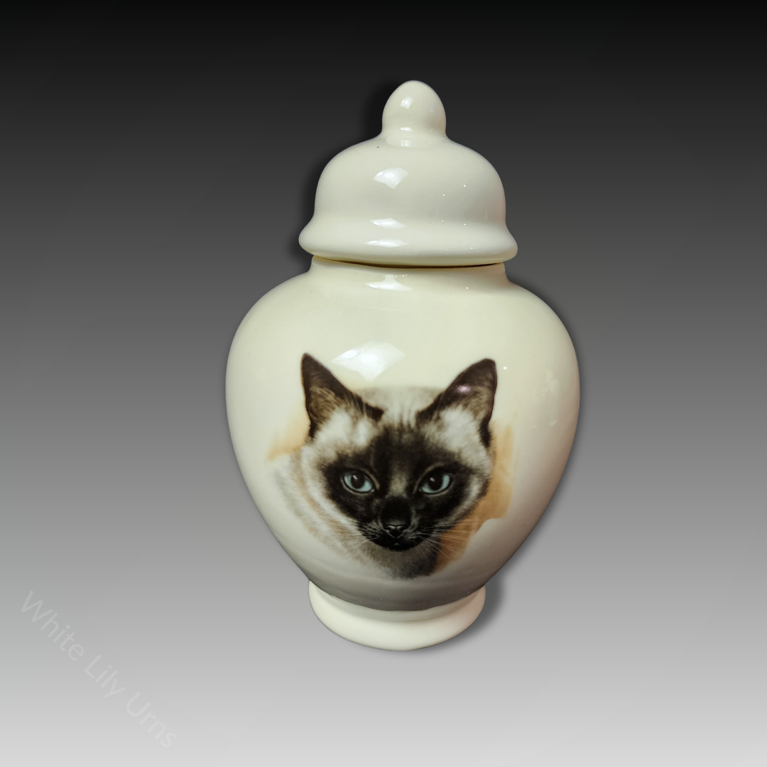 Pottery Ash Urns for Cats