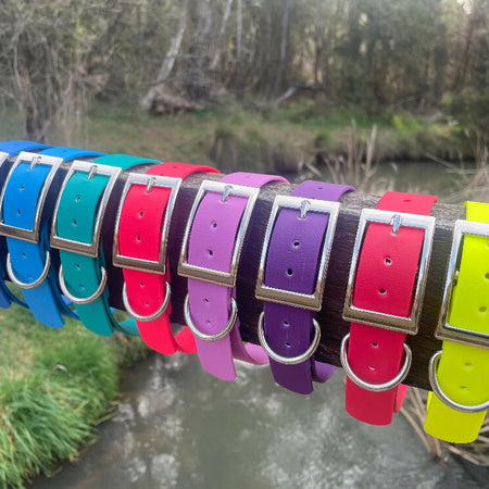 DOG PET COLLAR WATERPROOF BRIGHT STRONG