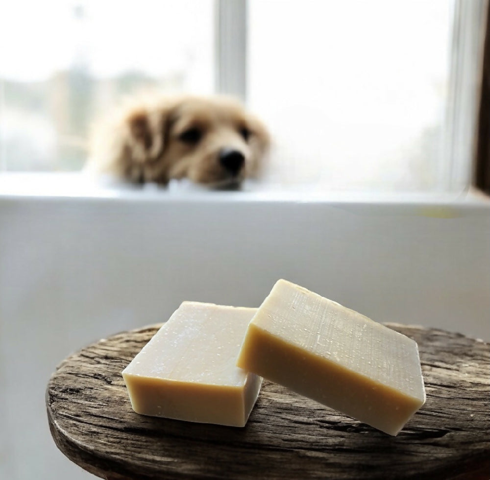 Pet Shampoo Bars - Unscented & Lemon Scented Eucalyptus, Lemongrass & Lavender