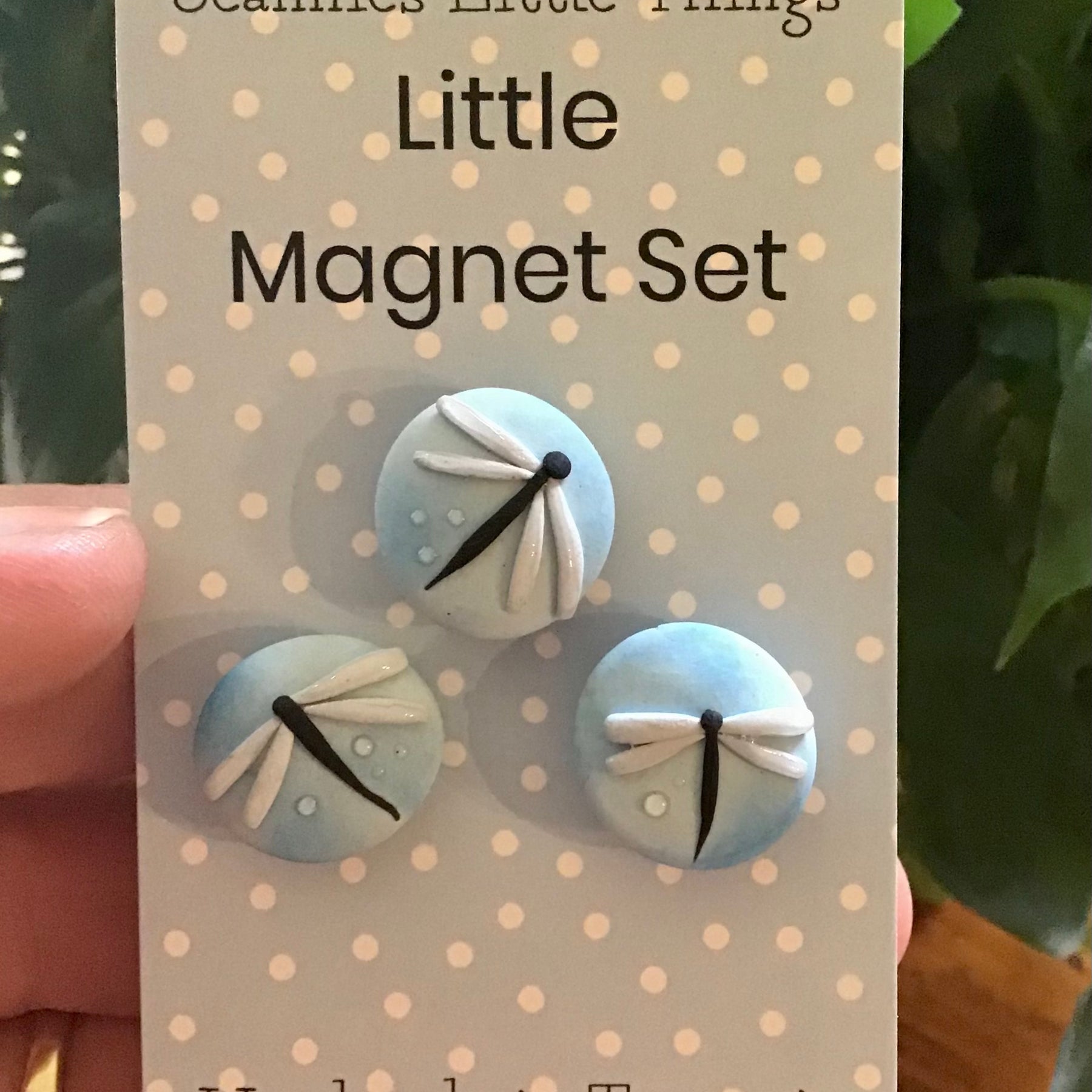 Little Magnet Set- Dragonflies