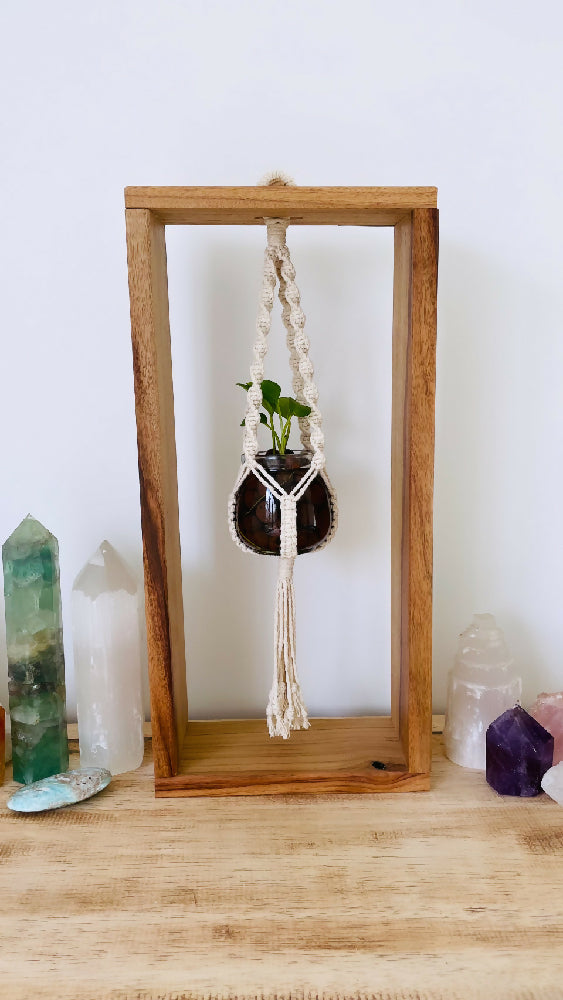 Framed Macrame Propagation Stations