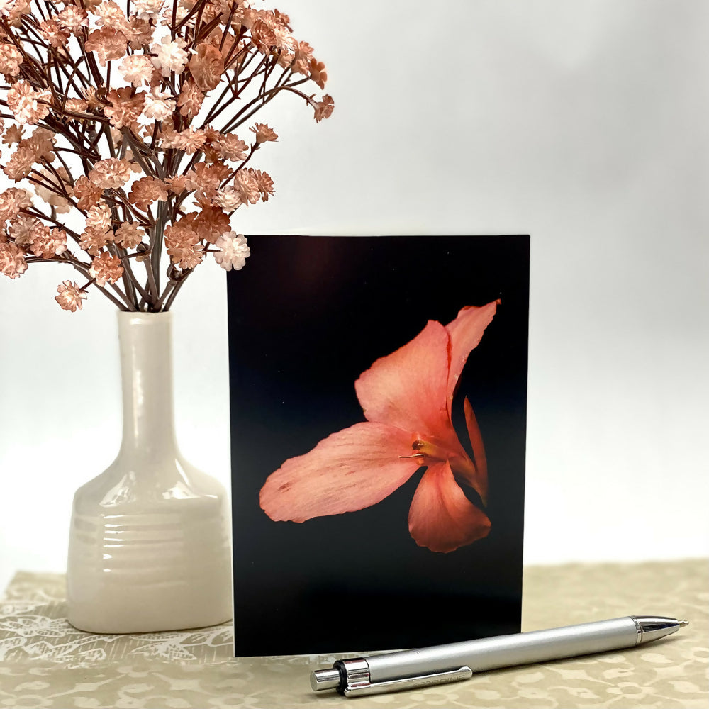 pink canna lily blank greeting card