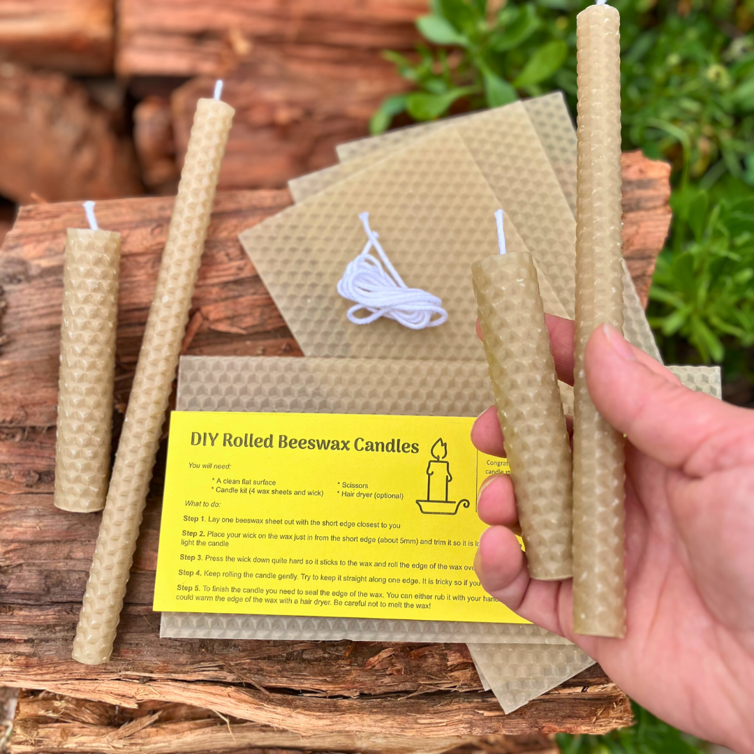 Beeswax Candle Making DIY Kit | Make Your Own Rolled Beeswax Candles for All Ages