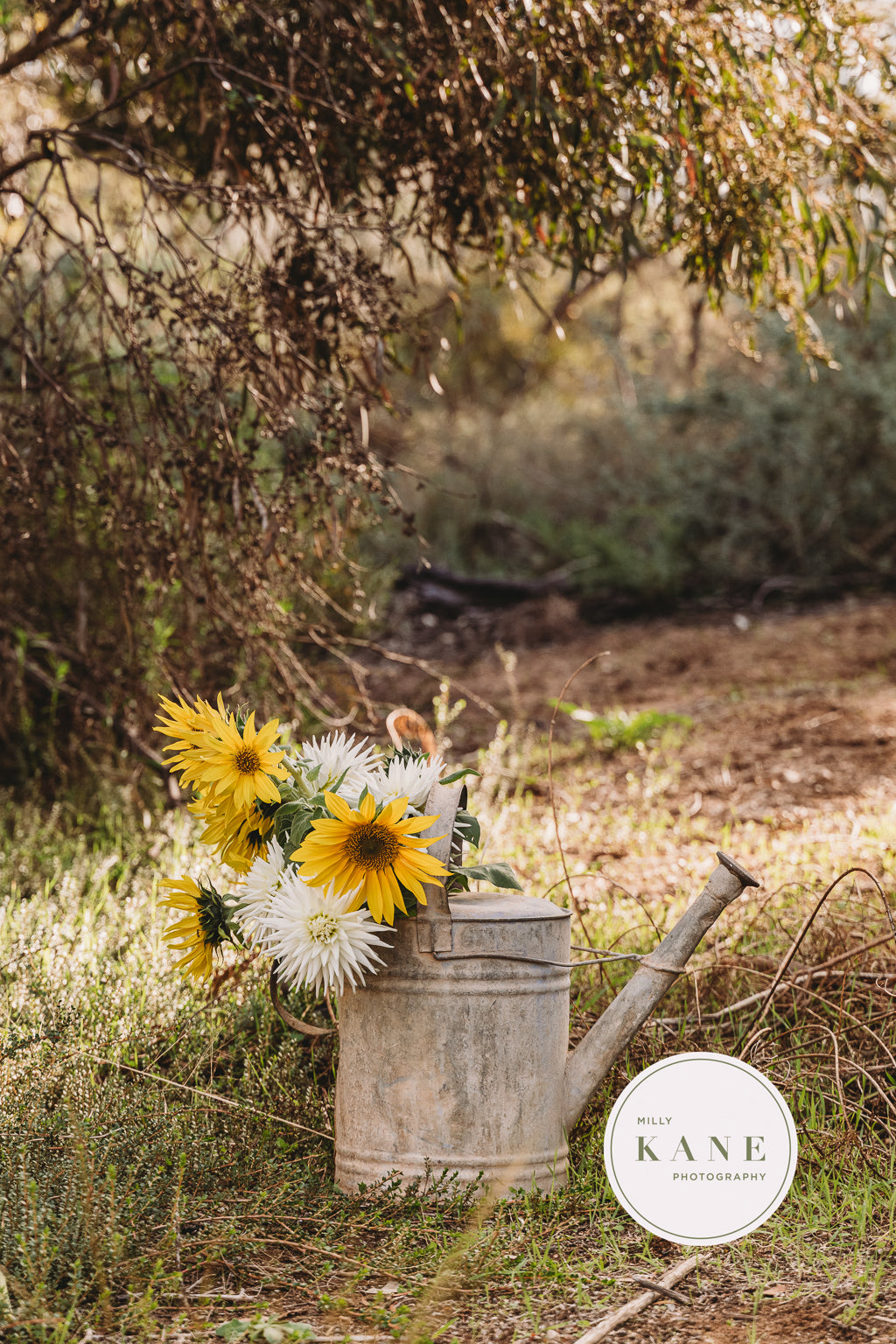 Whimsy in the Watering Can #3