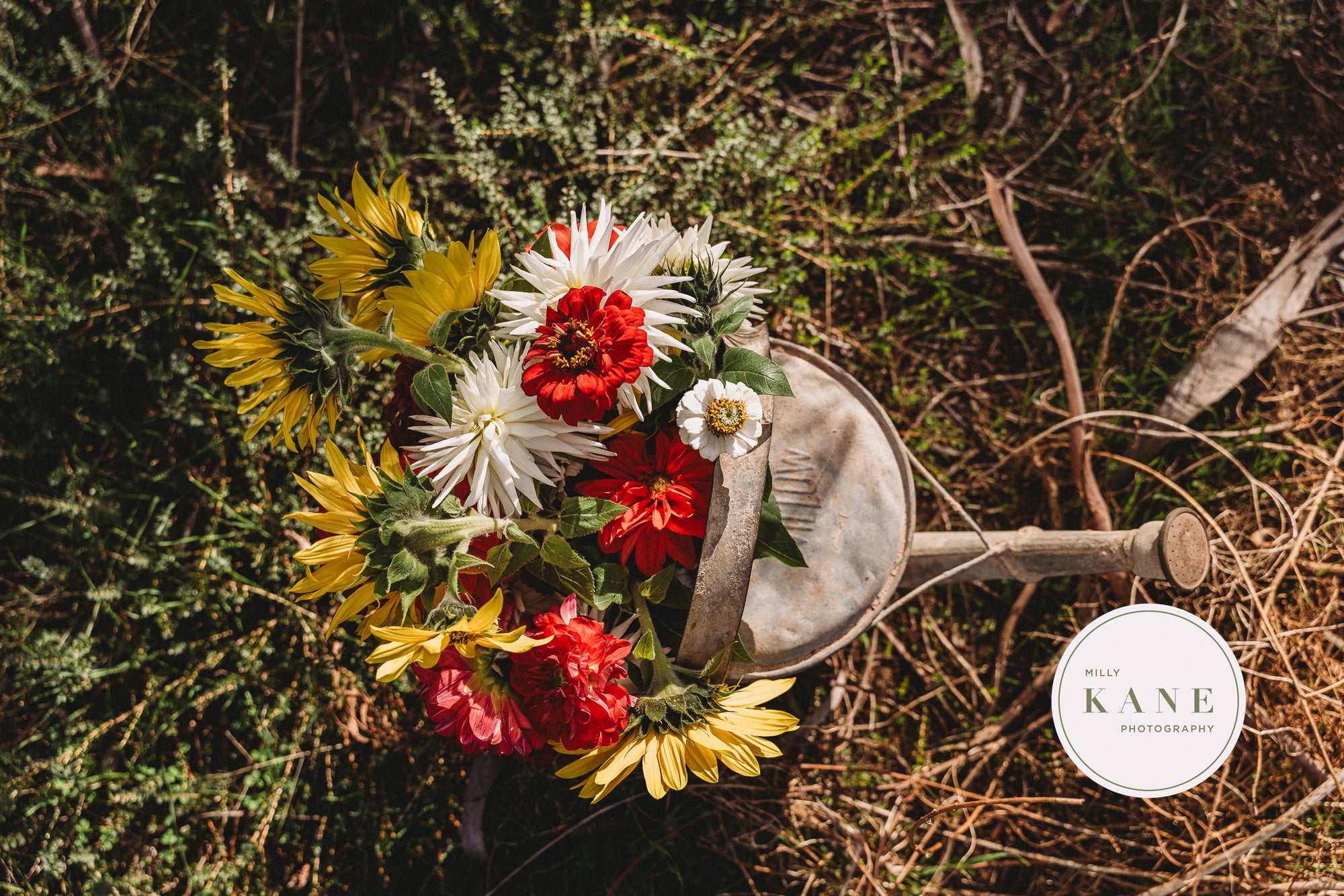 Whimsy in a Watering Can #5